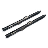 Blox Racing B-Series DOHC VTEC Camshafts - Tuner Series - P1